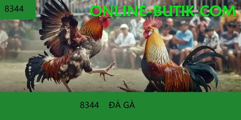 Đá Gà Trực Tiếp - p3bet