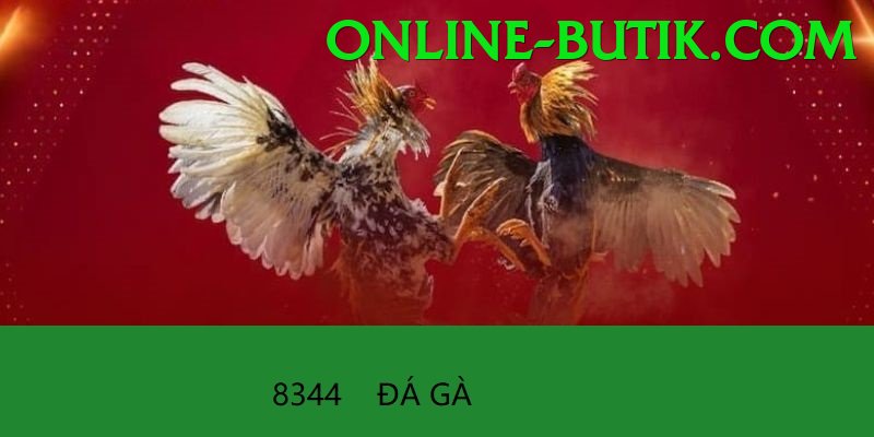 Đá Gà Trực Tiếp - Trải nghiệm tuyệt vời