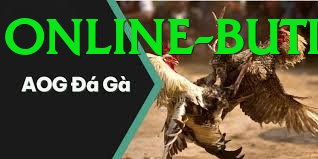 Đá Gà Trực Tiếp - Ưu đãi đặc biệt